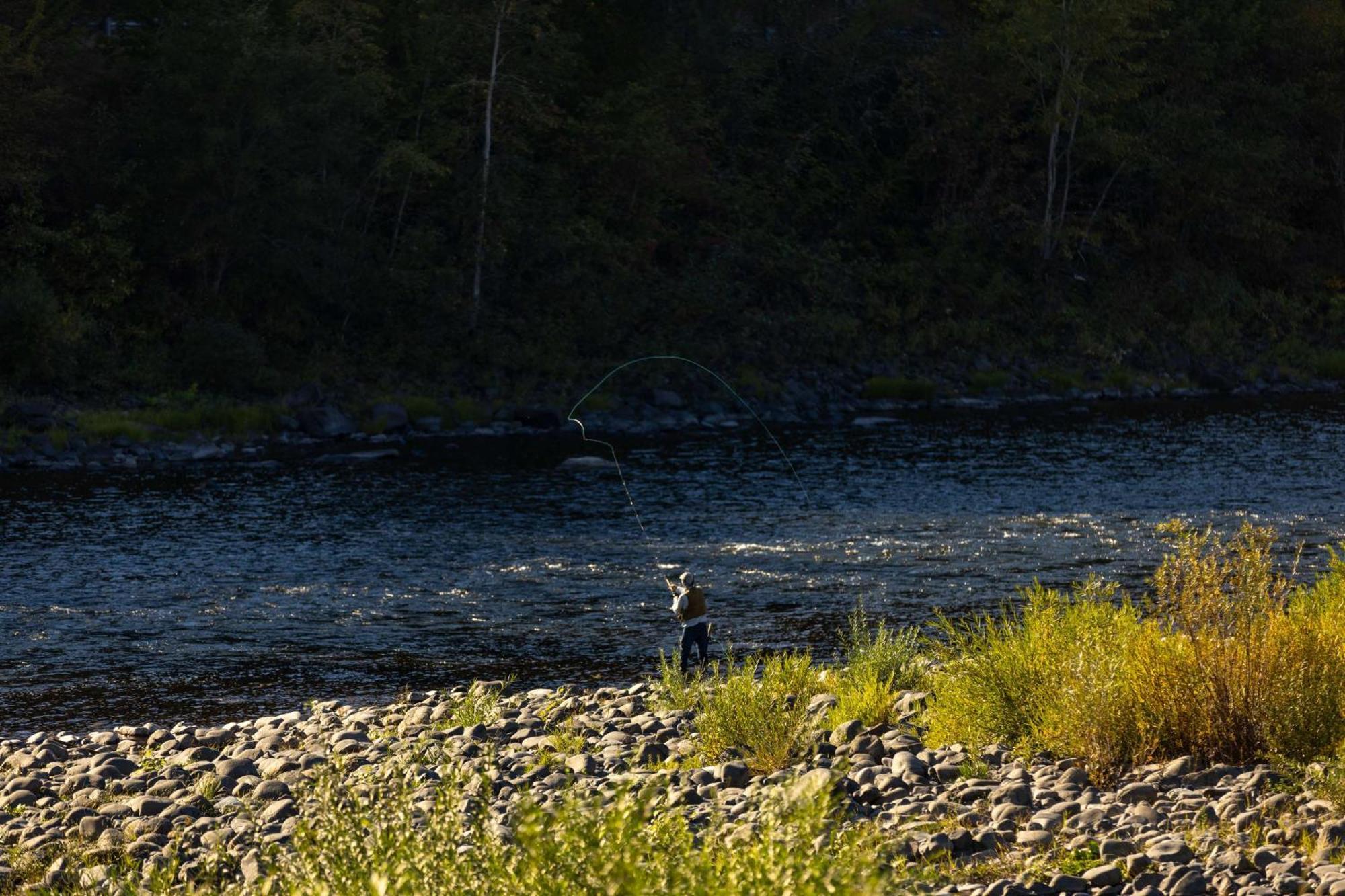 Best Western Lodge At River'S Edge Orofino Bagian luar foto